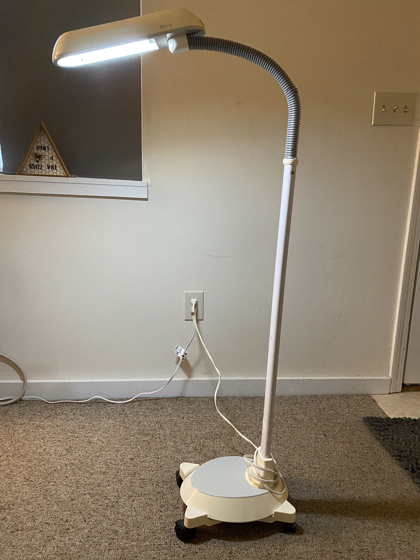 Ottlite Lamp