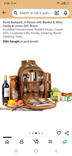 Brand New In Box Insulated Picnic Backpack