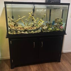 Fish Tank