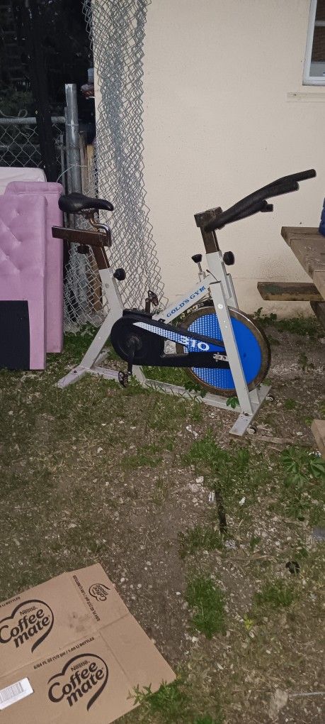 GOLD GYMS EXERCISE BIKE