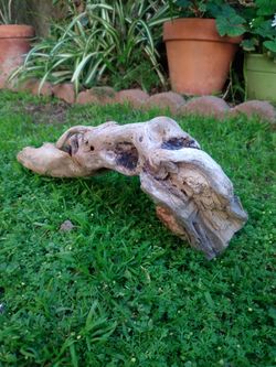 Genuine Driftwood For Aquariums Terrariums Decor