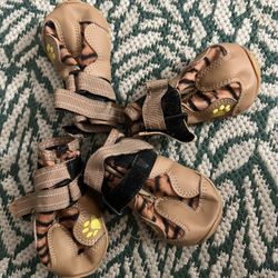Boots For Medium Size Dog