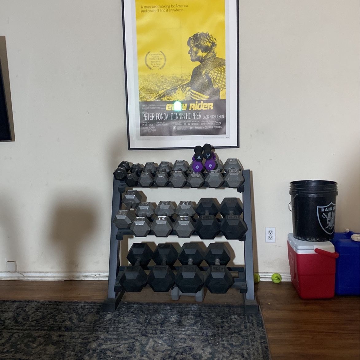 Set Of Dumbbells 3-50lb With Rack