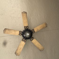 Outdoor ceiling fan