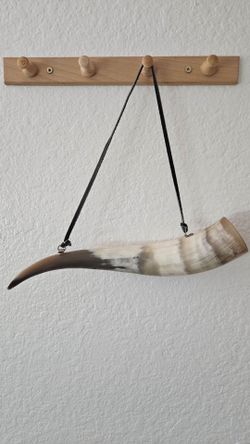 Real decorative cow horn