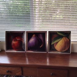 Certified international fruit gallery Jay Mercado (set of 3 11.5”X11.5”)