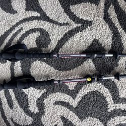 Hiking Poles
