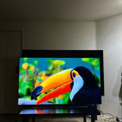 48” LG 4K OLED EVO C4