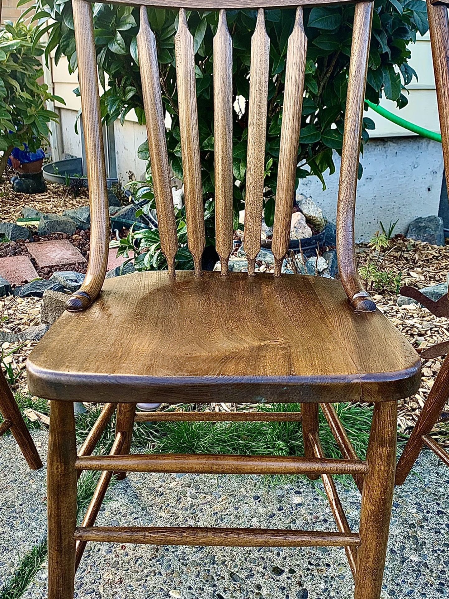 Vintage Antique Bentwood Dining Chairs!
