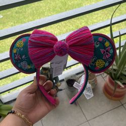 Encanto Disney Ears