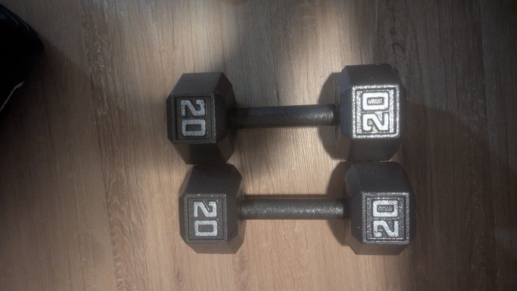 Pair Of 20lb Dumbbells 