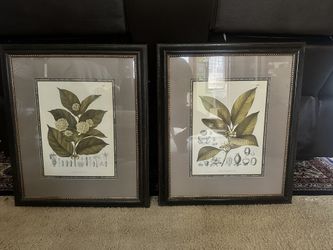 Living Room Pictures 