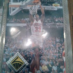 Scottie Pippin Card 