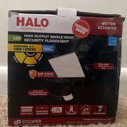 Security Flood Light