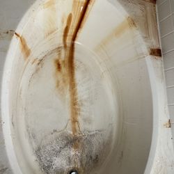 Bathtub  C-l-e-a-n-i-n-g