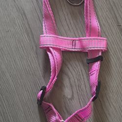 Dog Harness 