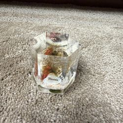 Vintage Old Florida Acrylic Lucite Florida Paper Weight 