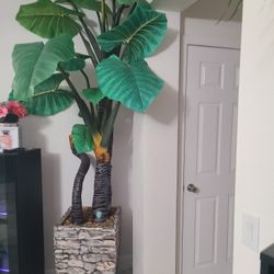 Gorgeous  Plant Decor Very Big