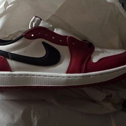 Low Retro Air Jordan 1 OG 10.5