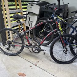 Townie Bicycle 