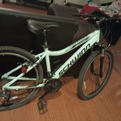 Schwinn Bike