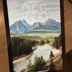 Ipad Mini 7 256gb Wifi Model