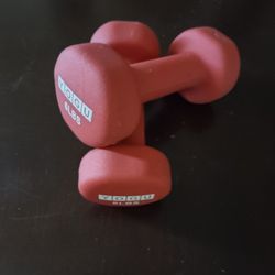 6lb Hand Weights