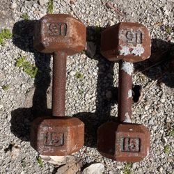 15 LB Dumbbells 