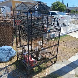 Bird Cage