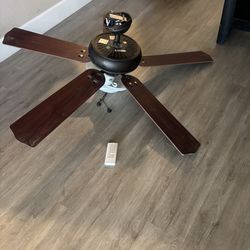 Fan