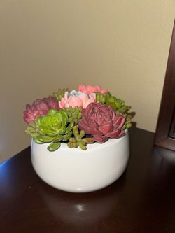 Faux Succulent Plant