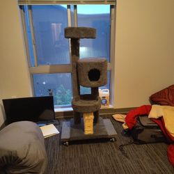 Cat House 