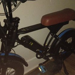 Cycrown Cycrun E-Bike