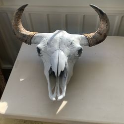 Buffalo Skull
