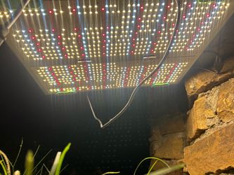 Grow lights