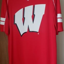 Mens L WI Badgers Tee