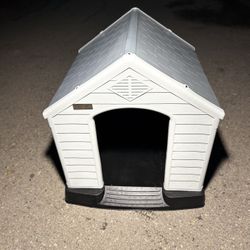 Dog House 