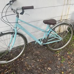 Shwinn Beach Cruiser