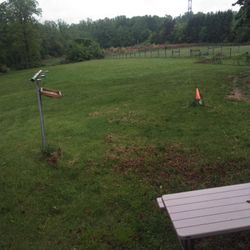 5 Acre Field With Electric And Water For Lease