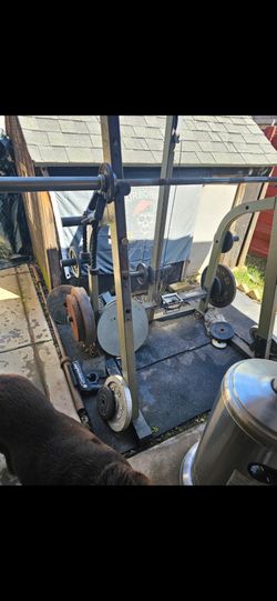 Squat/bench rack, barbel and weights