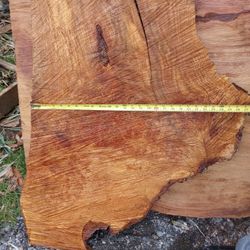 Birdseye Maple Burl Slab Dry 5 Years 