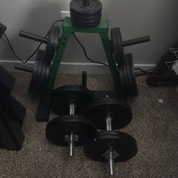 weights, dumbbells, weight rack and multifunction bar