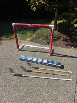 Street hockey nets and sticks