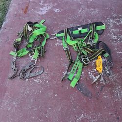 Harness  $150 For Both 