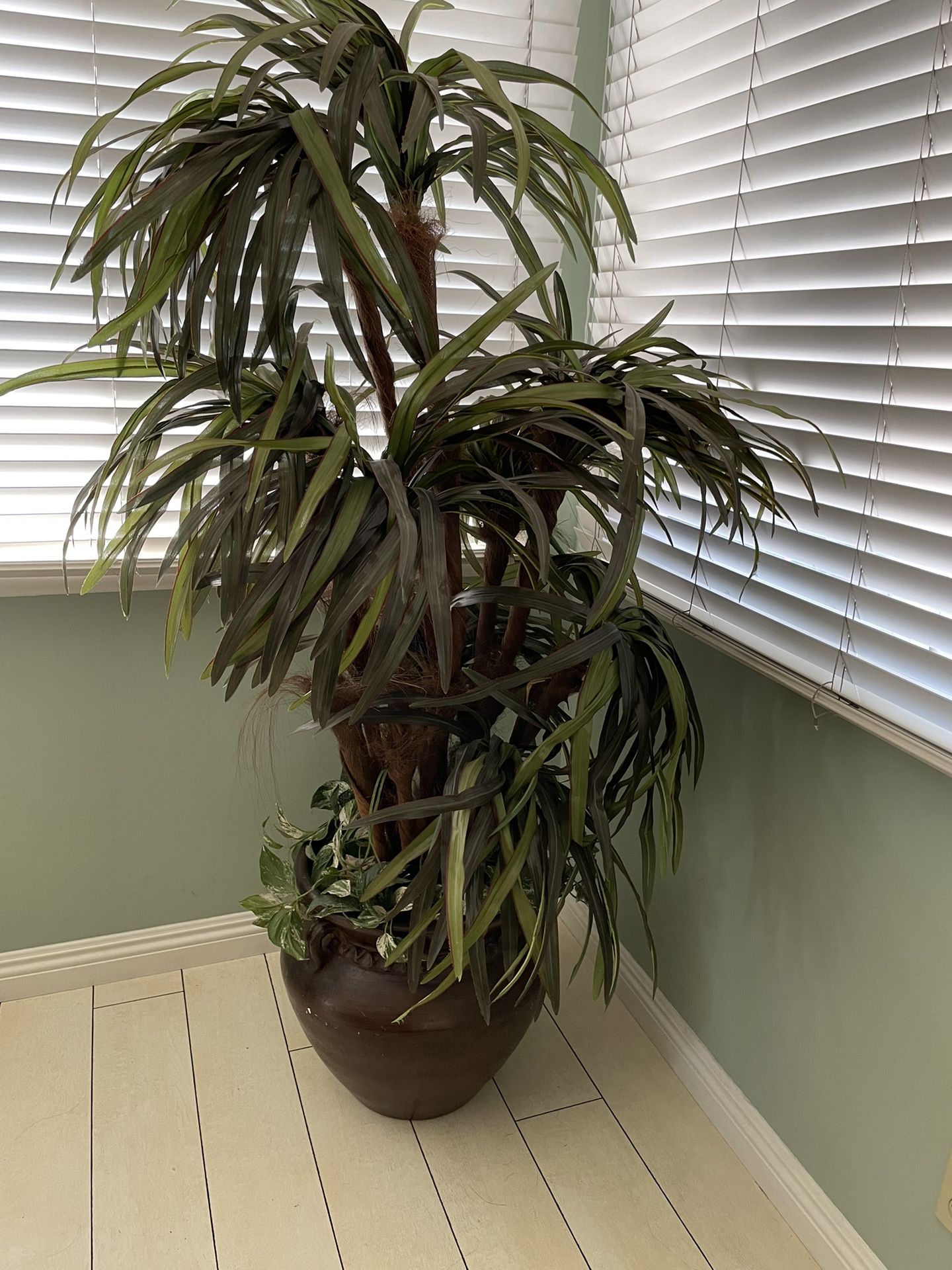 Fake House Plant/tall Plant $80 OBO