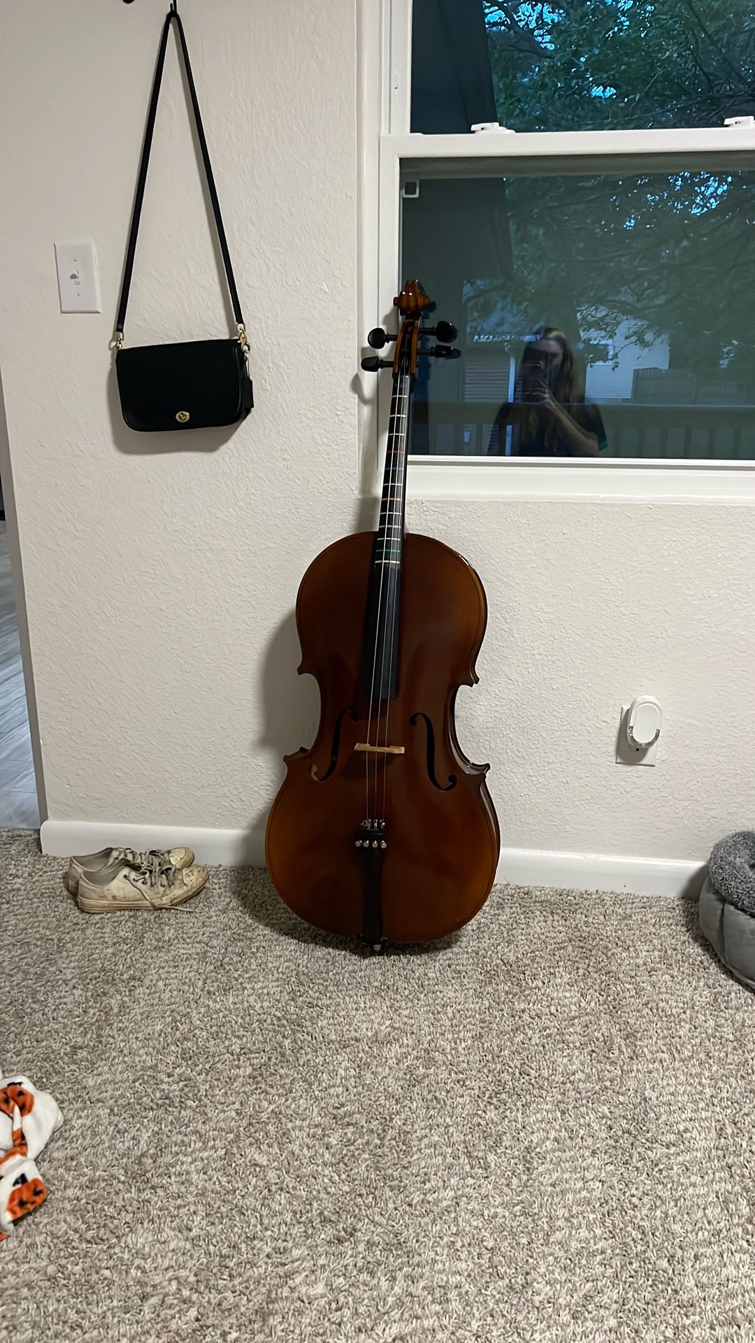 4/4 Cello