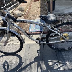 genesis chrome beach cruiser aluminum 29