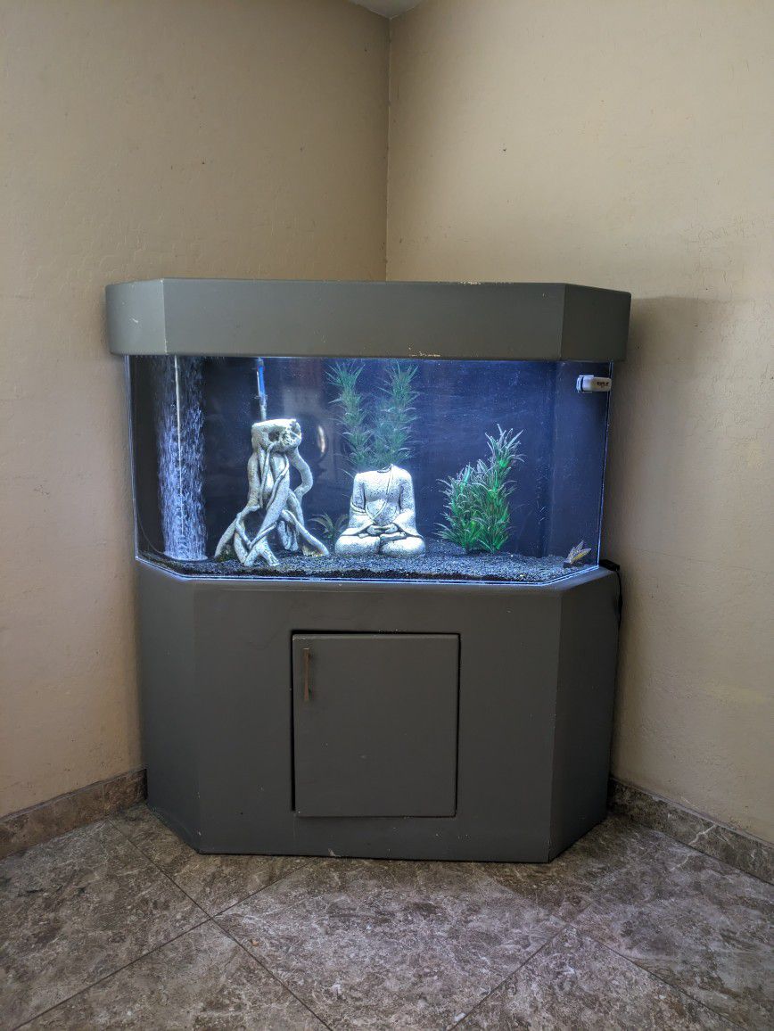 90 Gallon Acrylic Fish Tank