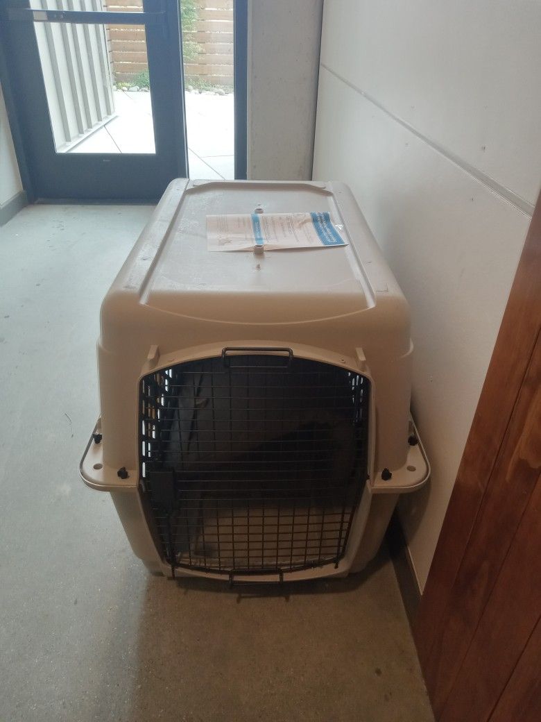 Dog House