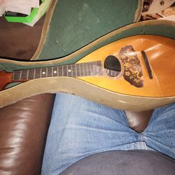 Vintage Bowlback Mandolin W Case